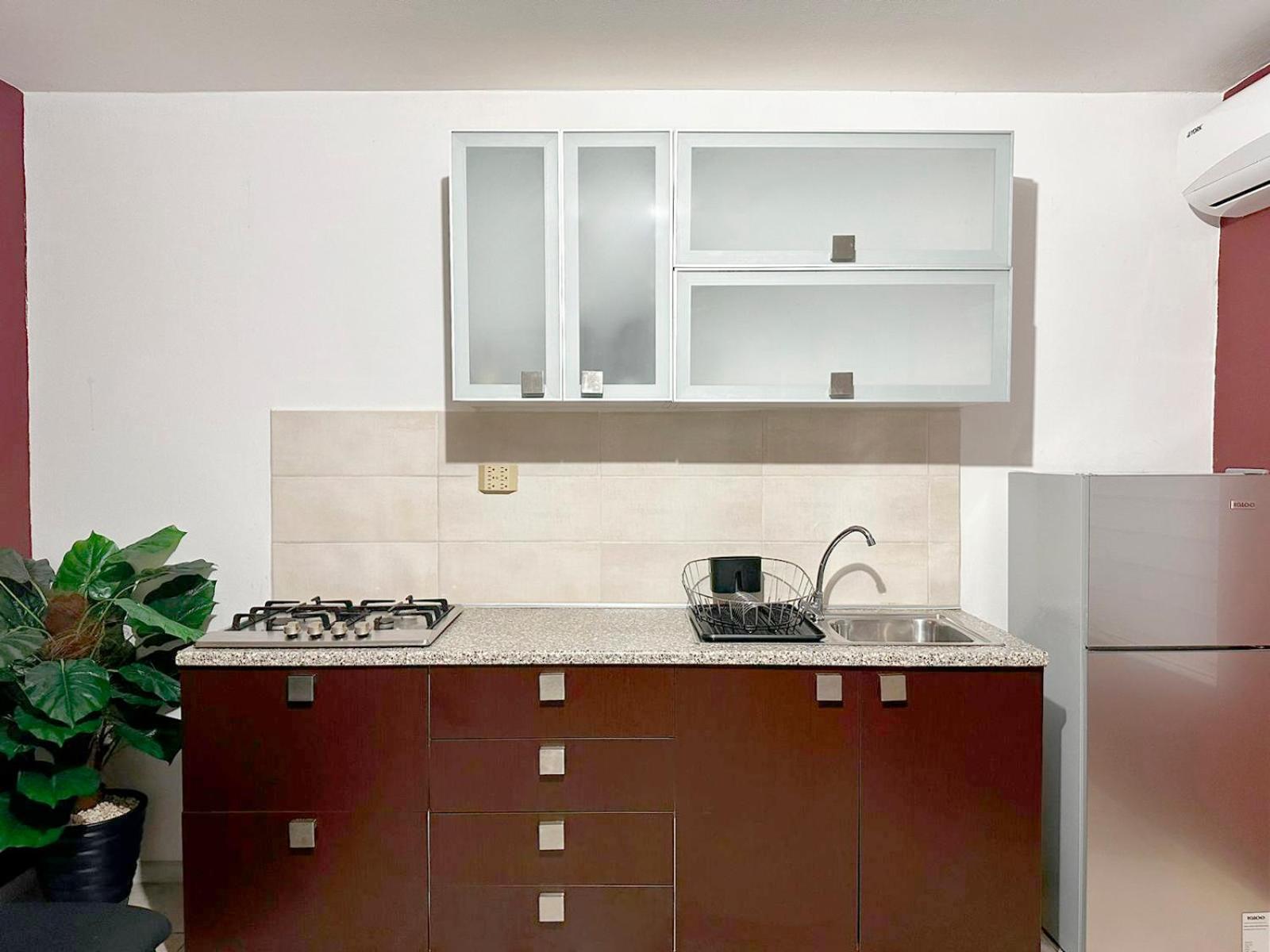 Ladybugs Apartments Palm Beach Ngoại thất bức ảnh